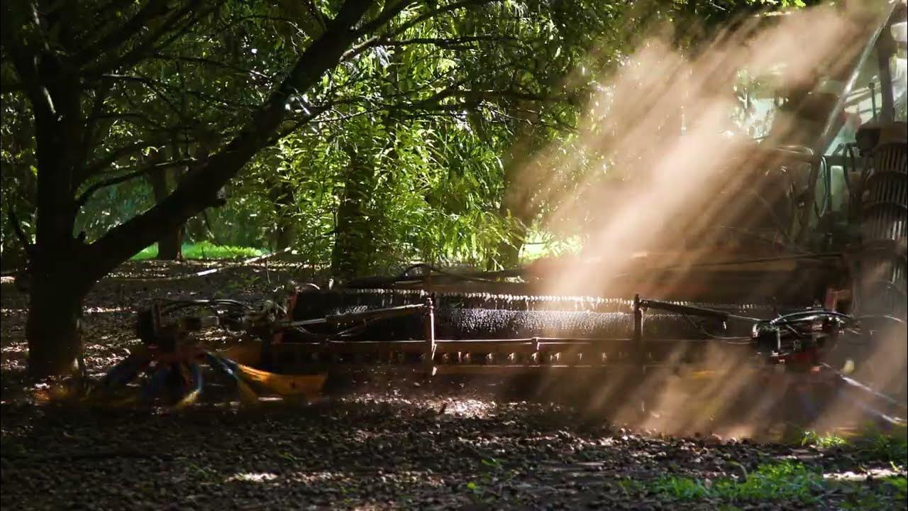 Falkirk Farm, 366 Jensen Road, Lower Wonga YouTube