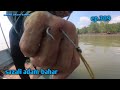 Rawai sembilang ep.309