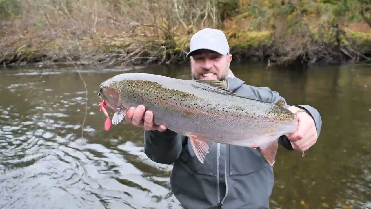 Chasing Wild Steelhead in Alaska | Okuma X-Series, Cold Water & SST Rods in Action Chasing Wild Steelhead in Alaska | Okuma X-Series, Cold Water & SST Rods in Action