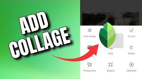 How to Add Collage in Snapseed 2025?