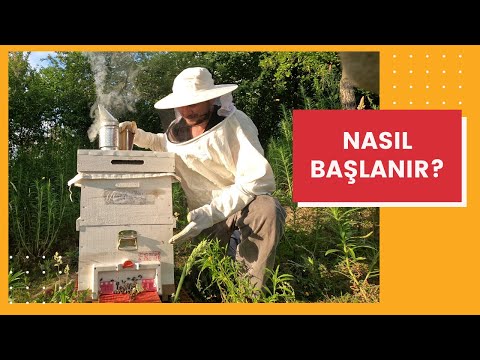 Hobi Arıcılığa Nasıl Başlanır ? l Hobi Arıcılık 1. Bölüm