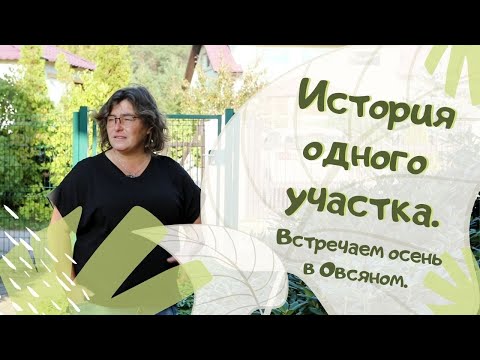 История одного участка. Встречаем осень в Овсяном.