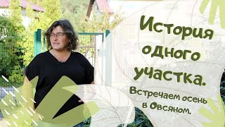 История одного участка. Встречаем осень в Овсяном.