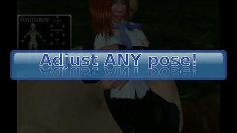 Animare - the animation HUD for SL