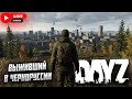 ВЫЖИВАЮ НА ВАНИЛЬНОМ СЕРВЕРЕ В DAYZ БЕЗ МОДОВ В СОЛО #2