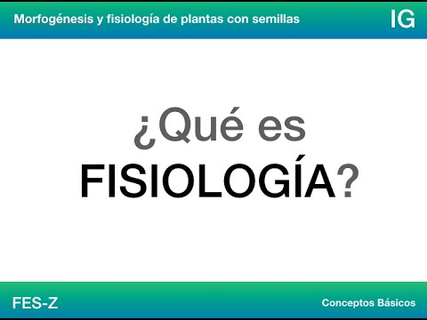 Vídeo: Was significa fisiologia?