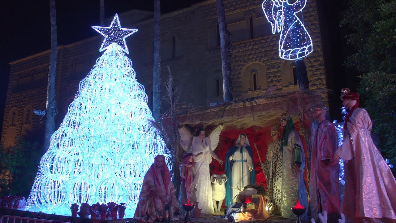 Christmas Tree and Manger Lighting!