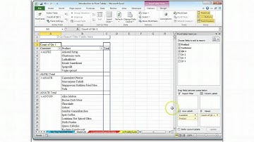 Tutorial for Pivot Table C3--Top Customer