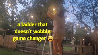 A ladder that doesn't wobble              game changer 😍