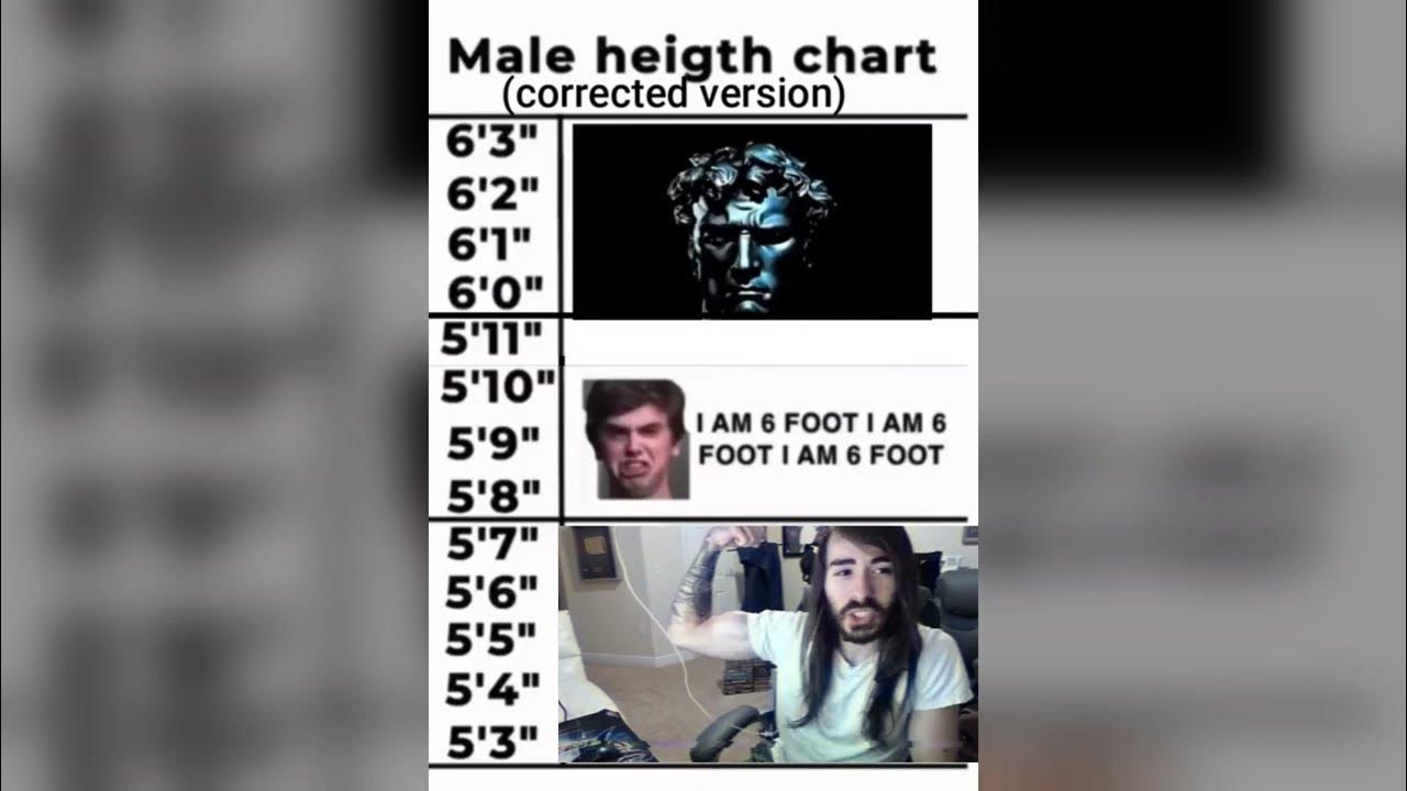 Male height chart meme - YouTube