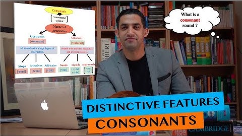 Distinctive Features of Consonant Sounds