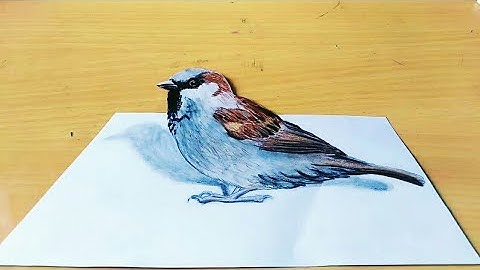 How to Draw 3D sparrow bird | how to draw 3D sparrow on paper | pencil sketch sparrow.