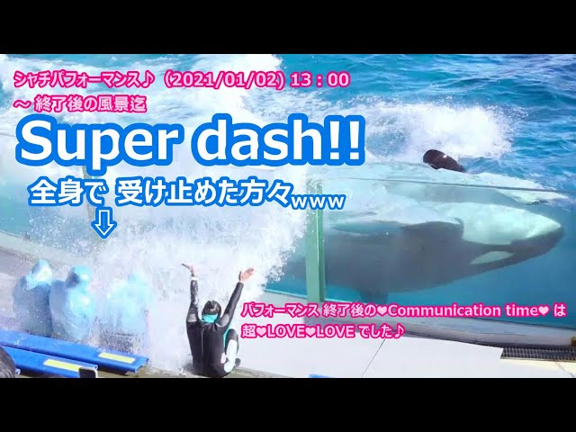 鴨川シーワールド シャチパフォーマンス 終了後の風景 21 01 02 13 00 Litetube