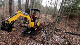 Noob Mini Excavator Fail - First time on the mini Ex. by Raspberry Rock - Off Grid Cabin 19,520 views 5 months ago 26 minutes