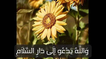 سورة ( يـونـس ) اية  ٢٥ - ٢٦ صوت الباكي الشيخ المنشاوي رحم الله❤️