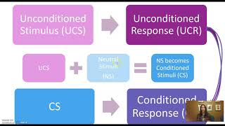 Conditioned vs Unconditioned Stimulus and Response