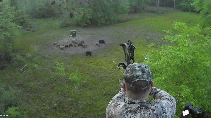 Bowhunting Hogs in Ga                                                                     4/15/2021