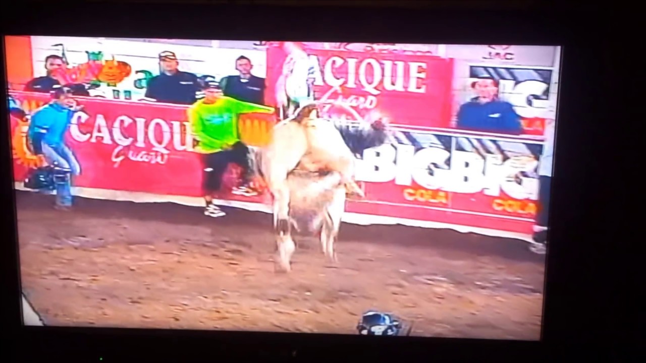 El Pata De Palo Campeon De Costa Rica Youtube
