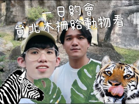 YOUHU日常Vlog.10一日約會~台北木柵給動物看｜木柵動物園｜情侶日常｜柚子&虎鯨