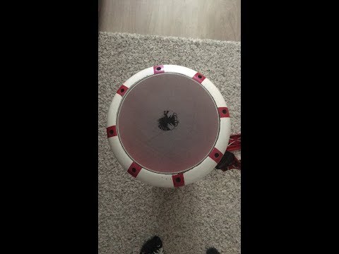SuSu Darbuka-Un colaj