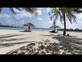 OLHUVELI Island Resort Maldives White Sand Beach Dolphins Blue Sea