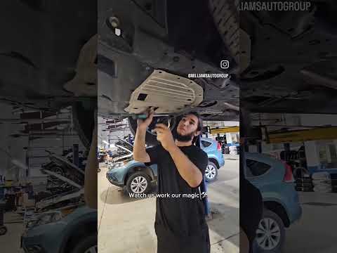 Williams Automotive And Imports Llc