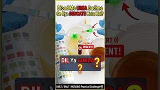 Blood me Urea Badhne Se Kya Indicate Hota Hai? 🧪 Kidney Function Test | BMLT MCQ#bmlt #madlebgeniuse