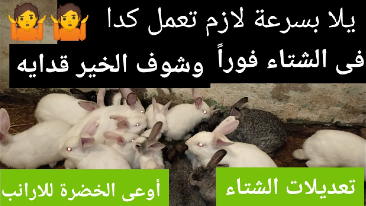 لازم تعمل كدا فى الشتاء غصب عنك فوراً هتتفادى كل مشاكل الشتاء  يلا هجوم وبسرعة الحق نفسك 🤔