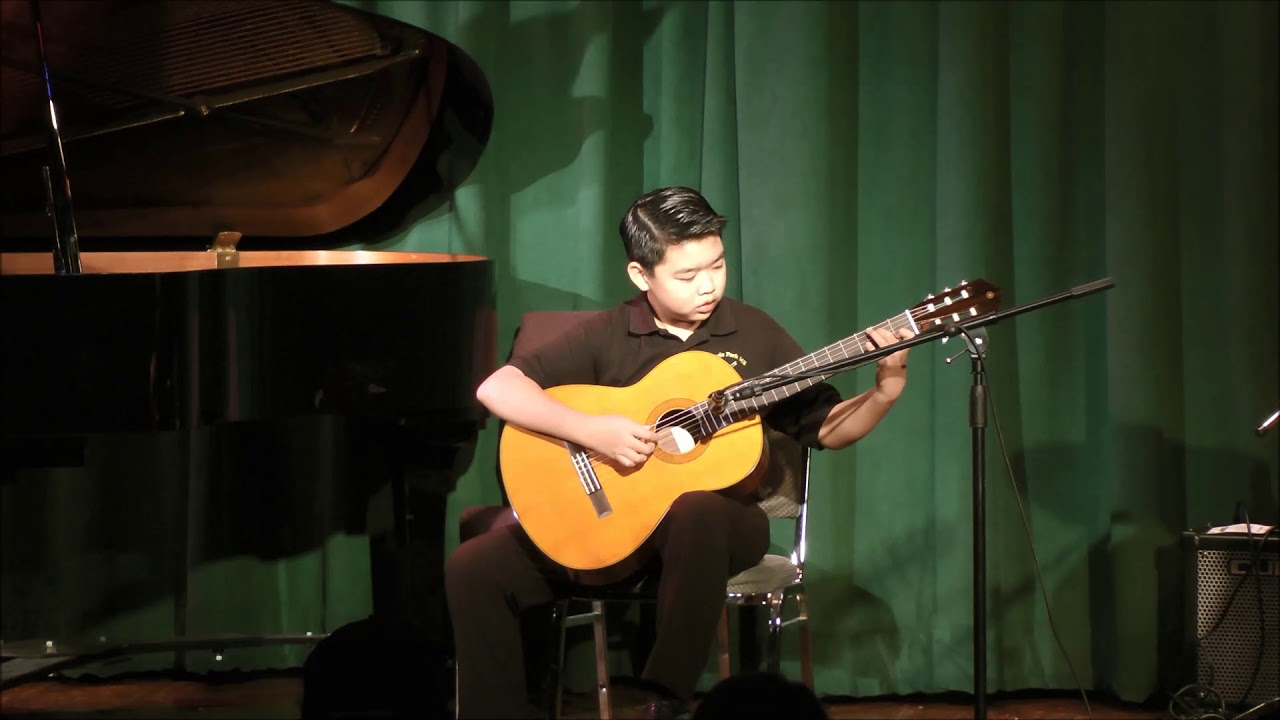 "Waltz" composed by F. Carulli YouTube