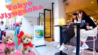 Jiyugaoka in TokyoFun experience♪4K relax/study nonstop 1 hour 02 minutes