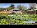 Urban agriculture in california