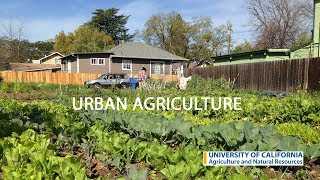 Urban Agriculture in California