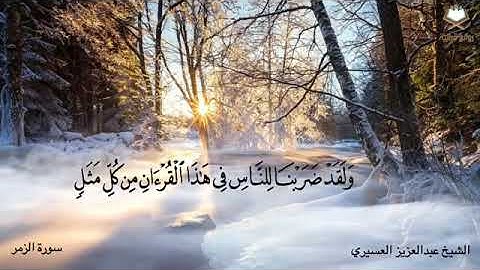 قراءة خاشعه من سوره الزمر للقارئ | عبدالعزيز العسيري