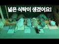 산골 고양이를 위한 고양이집 만들기(Outdoor cat house for valley cats)