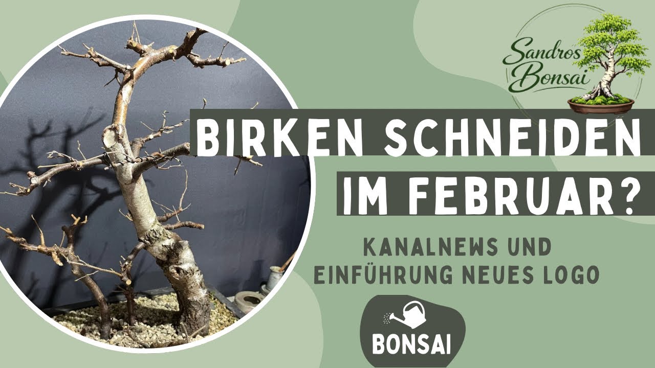 2026-07 Winterzeit ist Birkenzeit??? 🌿 | Neuer Kanalname & Logo