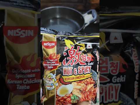 Nissin Hot and