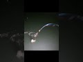 最速ランディング