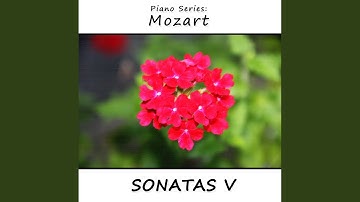 Sonata No. 6 in D Major, Kv 284: II Rondo and Polonaise (Andante)