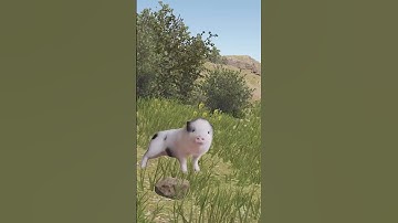 Застигнут врасплох в RUST РАСТ #rust #мем #юмор