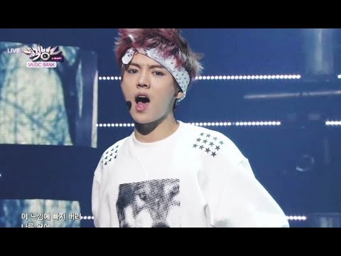 EXO - Wolf (2013.06.29) [Music Bank w/ Eng Lyrics]