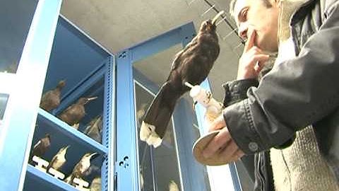 Paleontologists take the long view on climate change