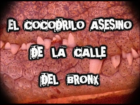 prostitutas en cali videos porno con prostitutas de la calle prostitutas en cali videos porno con prostitutas de la calle