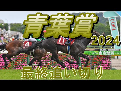 【青葉賞2024】第31回青葉賞最終追い切り