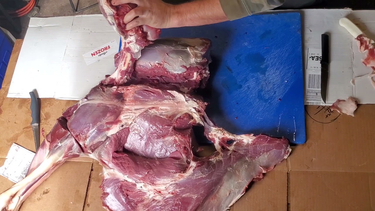 elk hind quarter deboning to process