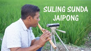 SULING SUNDA DI SAWAH Koplo Jaipong ! Seruling sunda paling merdu