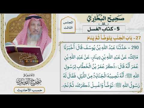 [290] حديث: توضأ واغسل ذكرك ثم نم [كتاب الغسل - باب الجنب يتوضأ ثم ينام]