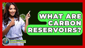 What Are Carbon Reservoirs? - Earth Science Answers