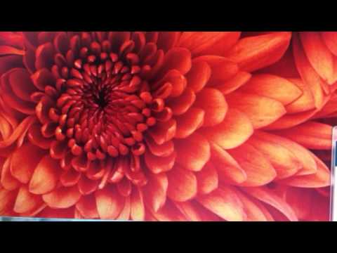 دكلمه شعر ازعشق چي مي ترسي توسط نجيبه درويش