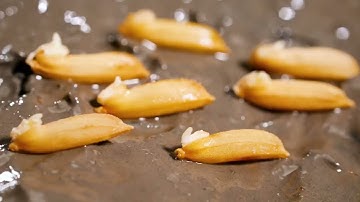 Sạ lúa bằng drone lưu ý: Cơ chế diệt cỏ và lúa cỏ của Sofit 300EC để sử dụng hiệu quả | Syngenta |