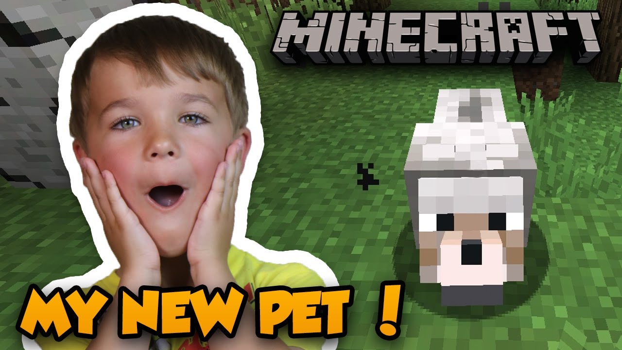 MY NEW PET in MINECRAFT SURVIVAL MODE - YouTube